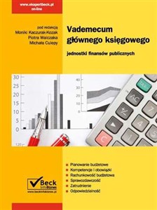 Obrazek Vademecum głównego księgowego z płytą CD Jednostki finansów publicznych