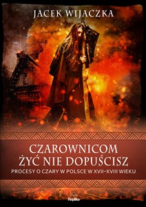 Bild von Czarownicom żyć nie dopuścisz Procesy o czary w Polsce w XVII-XVIII wieku