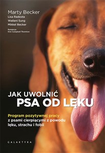 Bild von Jak uwolnić psa od lęku Program pozytywnej pracy z psami cierpiącymi z powodu lęku, strachu i fobii