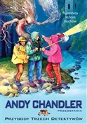Tajemnica ... - Andy Chandler -  polnische Bücher
