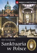 Polska książka : Sanktuaria... - Adam Sochaczewski