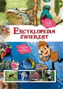 Książka : Encykloped... - Marta Kępa