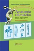 Anatomia c... - Elżbieta Suder, Szymon Brużewicz -  Książka z wysyłką do Niemiec 