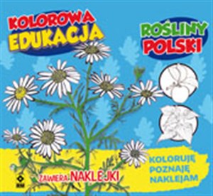 Obrazek Kolorowa edukacja Rośliny Polski naklejka