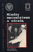 Polska książka : Między męc...