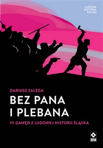 Bild von Bez Pana i Plebana 111 gawęd z ludowej historii Śląska