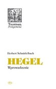 Terminus T... - Herbert Schnadelbach -  polnische Bücher