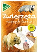Polska książka : Zwierzęta ... - Grażyna Maternicka