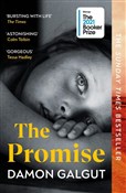 The Promis... - Damon Galgut -  Polnische Buchandlung 