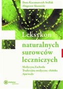 Polska książka : Leksykon n... - Ilona Kaczmarczyk-Sedlak, Zbigniew Skotnicki