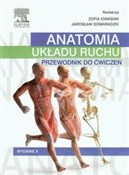 Anatomia u... -  polnische Bücher