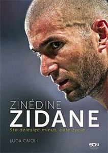 Obrazek Zinedine Zidane Sto dziesięć minut, całe życie