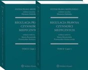 System Pra... - Maria Boratyńska, Przemysław Konieczniak, Eleonora Zielińska -  polnische Bücher