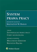 Książka : System pra... - Małgorzata Gersdorf, Krzysztof Rączka