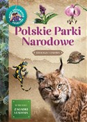 Młody Obse... - Iwona Wróbel -  polnische Bücher