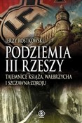 Podziemia ... - Jerzy Rostkowski -  polnische Bücher