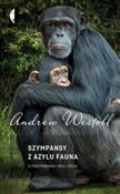 Szympansy ... - Westoll Andrew -  Polnische Buchandlung 