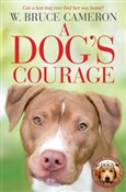 A Dog's Co... - W. Bruce Cameron -  Książka z wysyłką do Niemiec 