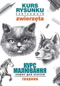 Polska książka : Kurs rysun... - Mateusz Jagielski