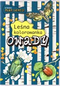 Polska książka : Owady. Leś... - Katarzyna Kopiec-Sekieta