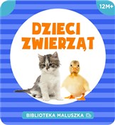Biblioteka... - Opracowanie Zbiorowe - buch auf polnisch 