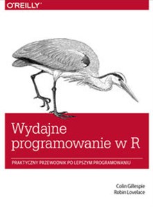 Obrazek Wydajne programowanie w R Praktyczny przewodnik po lepszym programowaniu