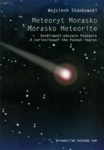 Bild von Meteoryt Morasko Osobliwość obszaru Poznania