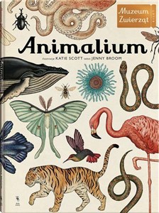 Obrazek Animalium