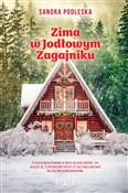 Polska książka : Zima w Jod... - Sandra Podleska