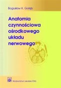 Zobacz : Anatomia c... - Bogusław K. Gołąb