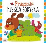 Polnische buch : Przygoda p... - Anna Podgórska