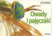 Polska książka : Owady i pa... - Noel Tait