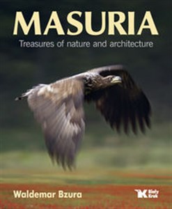 Obrazek Masuria Treasures of nature and architecture