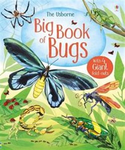 Bild von Big Book of Bugs