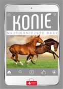 Konie Najp... - Katarzyna Piechocka - buch auf polnisch 