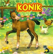 Polnische buch : Konik - Marek Szal (ilustr.), Katarzyna Campbell