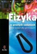 Polska książka : Fizyka w p... - Jolanta Niemiec, Andrzej Kurowski
