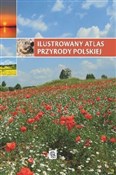 Polnische buch : Ilustrowan... - Renata Krzyściak-Kosińska, Marek Kosiński, Anna Przybyłowicz