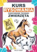 Kurs rysow... - Mateusz Jagielski -  polnische Bücher
