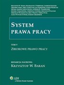 System pra... - Monika Tomaszewska, Zbigniew Góral, Jan Piątkowski, Gertruda Uścińska, M.Bolesław Ćwiertniak, Andrze -  fremdsprachige bücher polnisch 