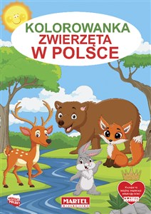 Obrazek Zwierzęta w Polsce. Kolorowanka