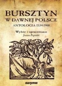 Bild von Bursztyn w dawnej Polsce. Antologia 1534-1900