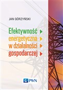 Polska książka : Efektywnoś... - Jan Górzyński
