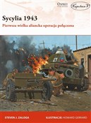 Polska książka : Sycylia 19... - Steven J. Zaloga