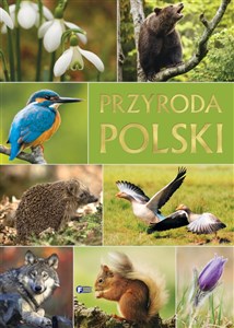 Obrazek Przyroda Polski