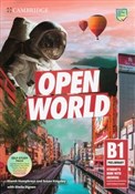 Open World... - Niamh Humphreys, Susan Kingsley, Sheila Dignen -  polnische Bücher