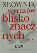 Słownik wy... - Lidia Wiśniakowska -  polnische Bücher