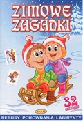 Polska książka : Zimowe zag... - Ernest Błędowski
