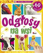 Polska książka : Odgłosy na... - Natalia Kawałko-Dzikowska
