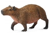 Polnische buch : Kapibara M...